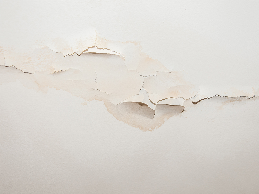 How To Repair Water Damage In Your Living Room