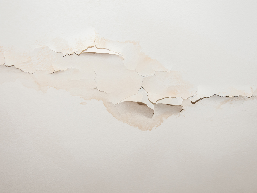 Water Damage in Kitchen