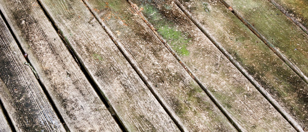 Removing Mould From Your Deck