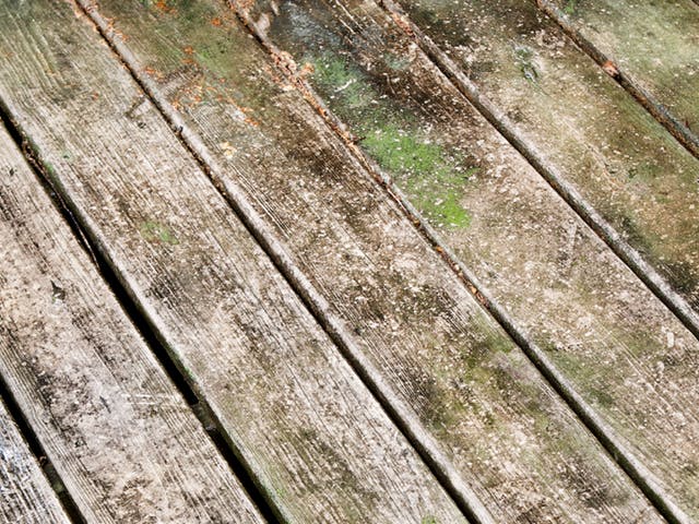 Removing Mould From Your Deck