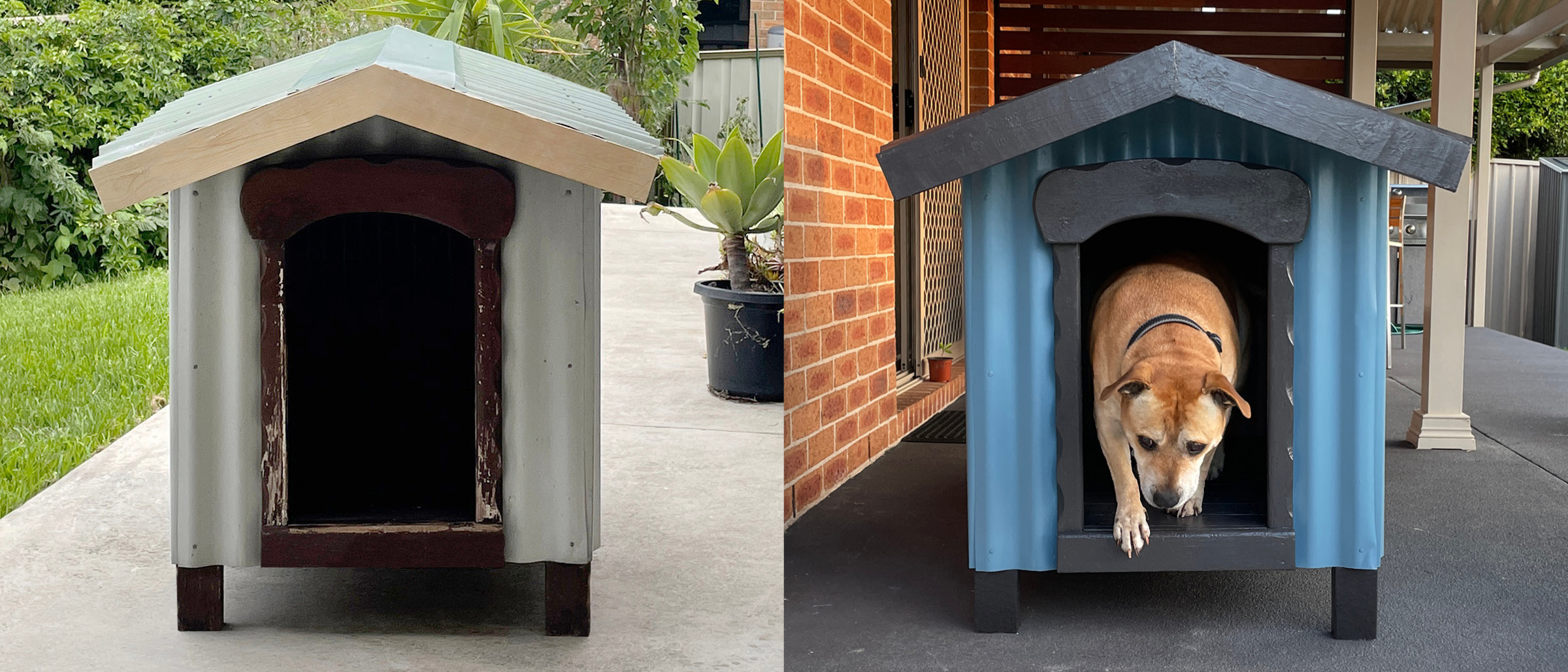 Restoring your Dog s Kennel Inspirations Paint