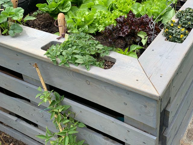 How to Paint Timber Garden Beds