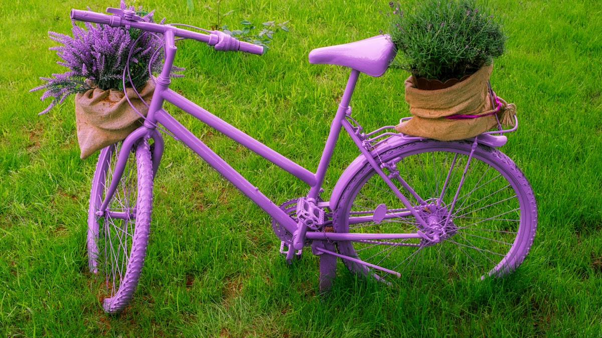 Interior timber projects